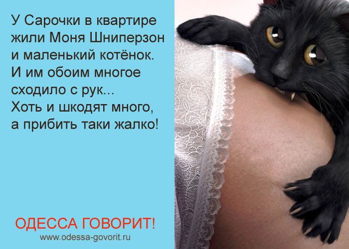 Одесские анекдоты Одесские анекдоты