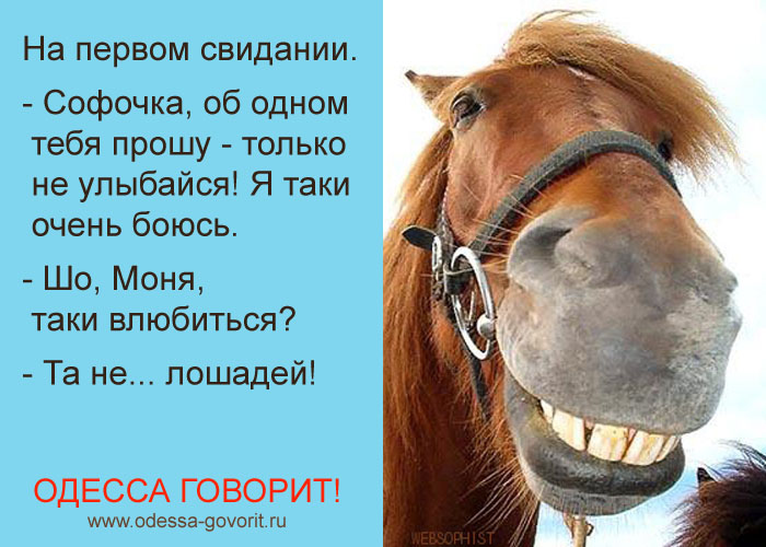 Одесские анекдоты Одесские анекдоты