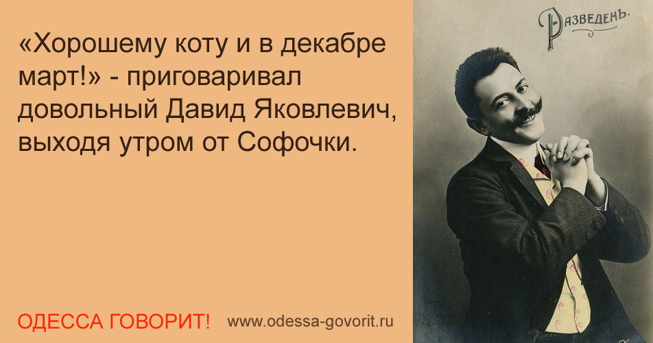 Одесские анекдоты Одесские анекдоты