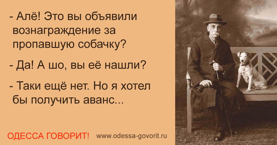 Одесские анекдоты Одесские анекдоты