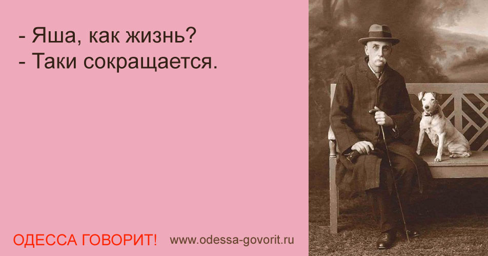 Одесские анекдоты Одесские анекдоты
