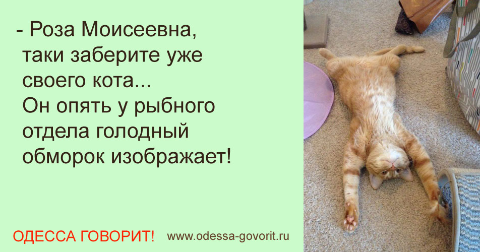 Одесские анекдоты Одесские анекдоты
