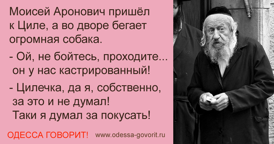 Одесские анекдоты Одесские анекдоты