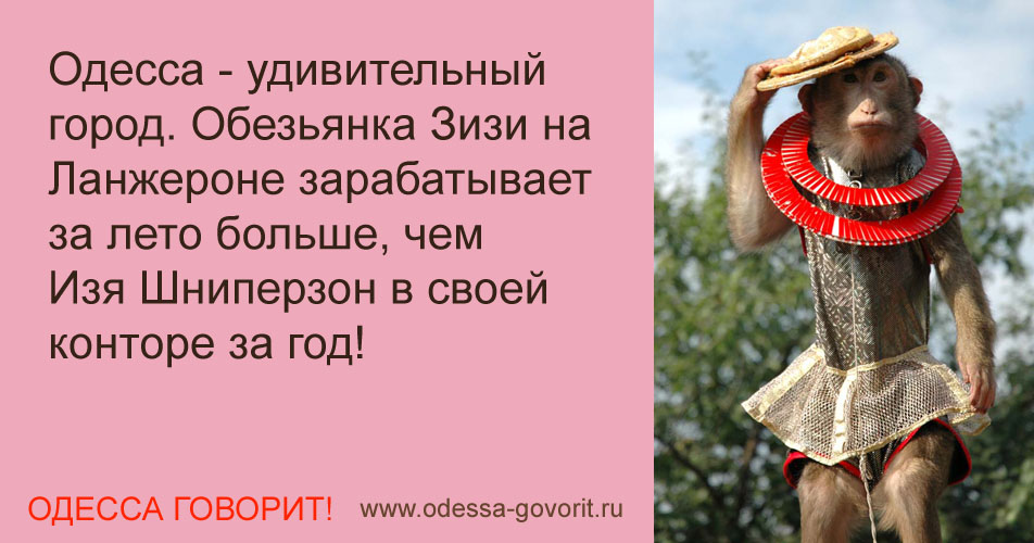 Одесские анекдоты Одесские анекдоты